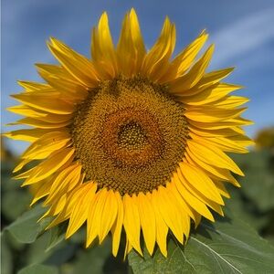 Meet your Posher, Jody